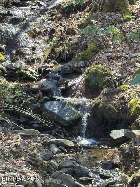 Cougar Trail Del Rio, TN 37727 - Photo 3 of 8 IMG_4074