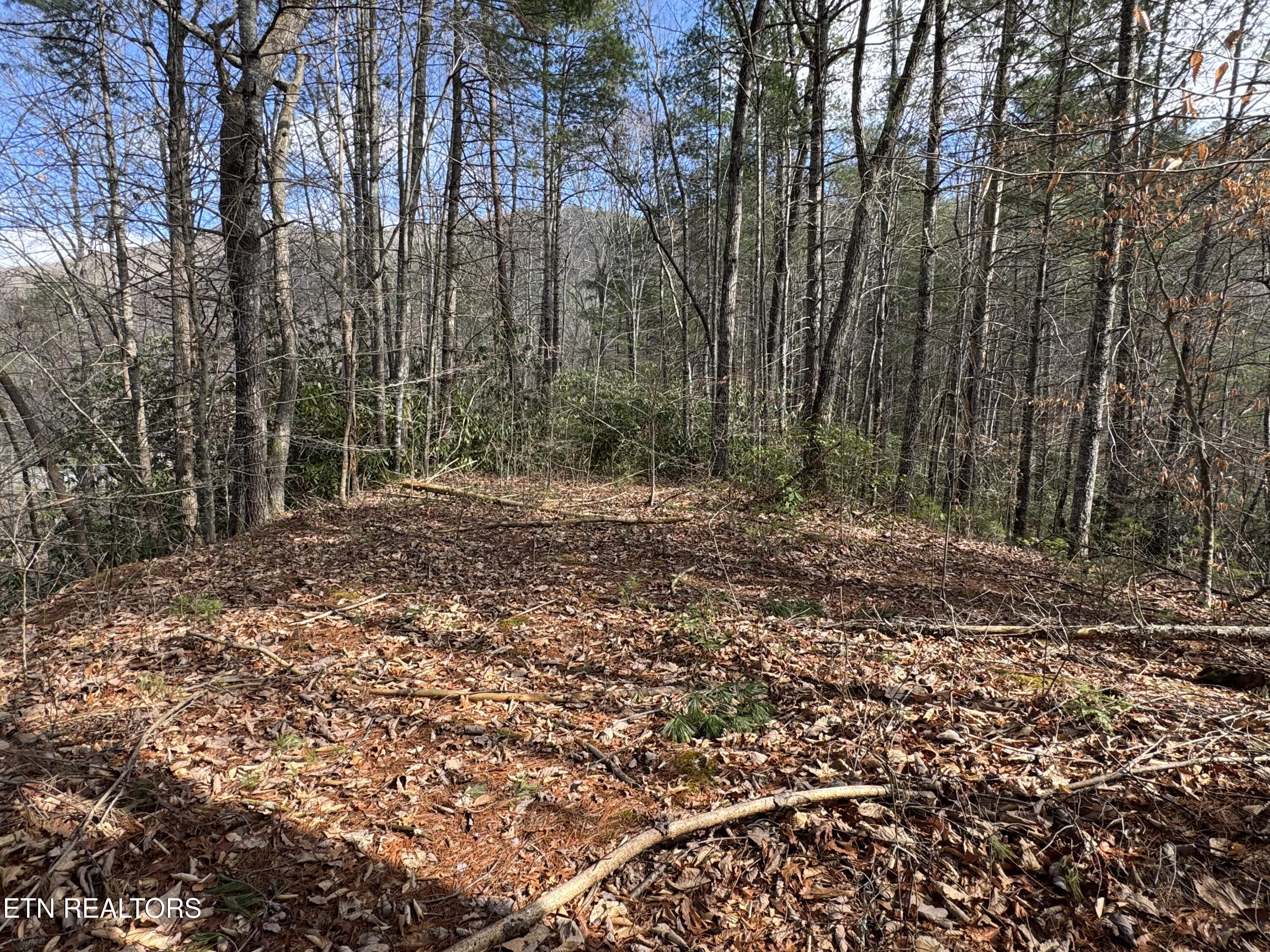 Cougar Trail Del Rio, TN 37727 - Photo 7 of 8 IMG_4282