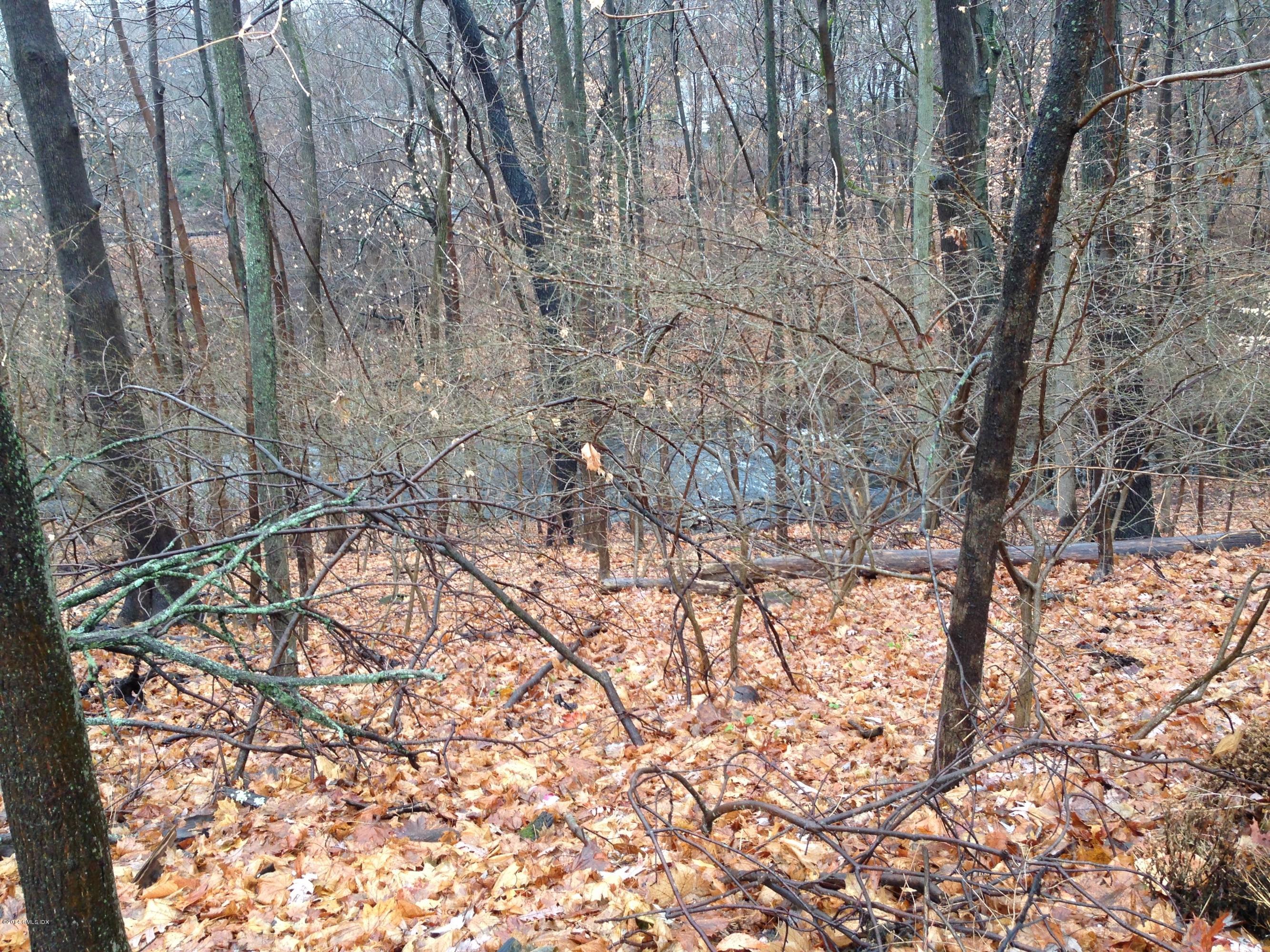 571 River Road Cos Cob, CT 06870 - Photo 6 of 8 a yard with tall trees