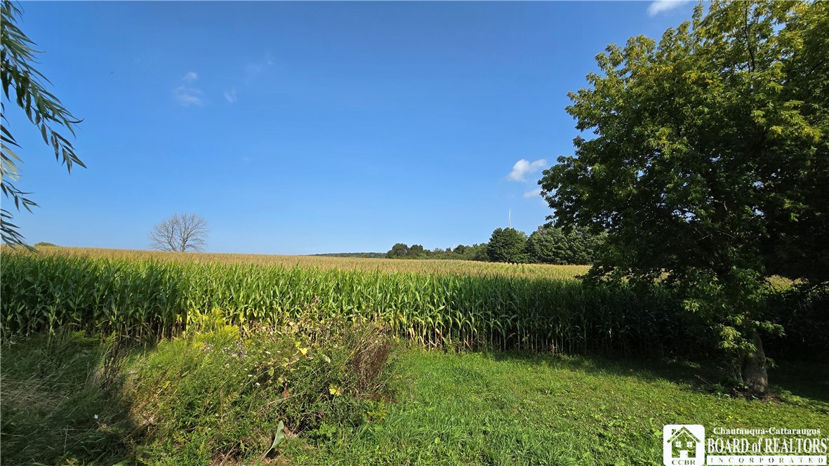 1184 Cassadaga Road Villenova, NY 14138 - Photo 23 of 31