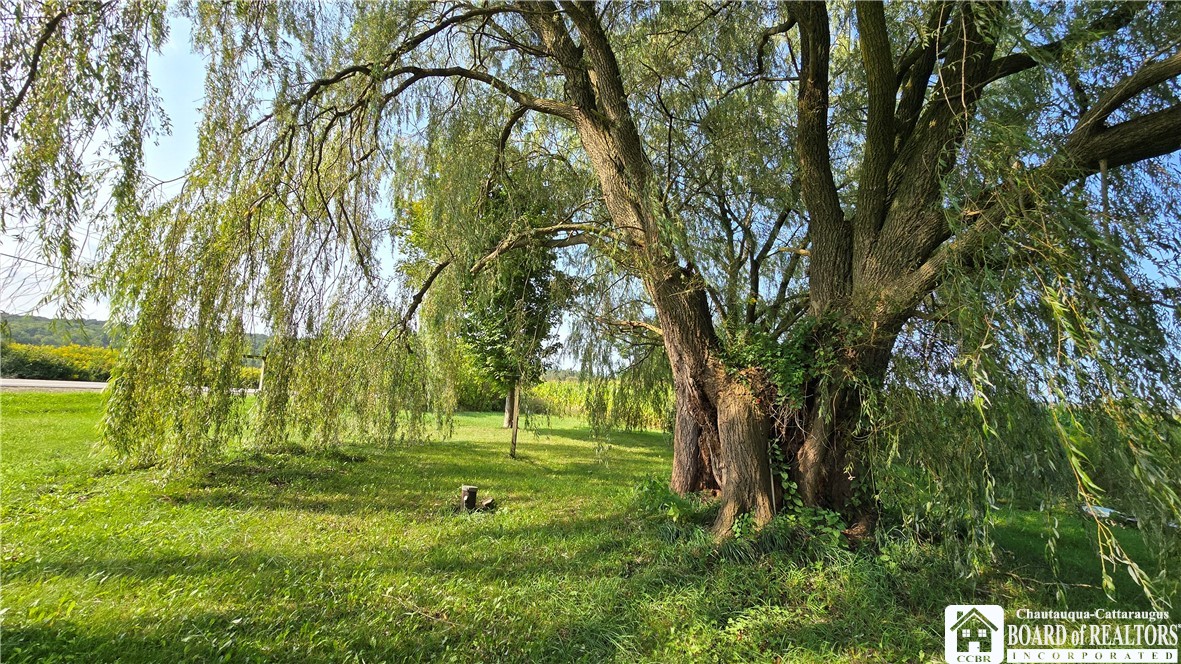 1184 Cassadaga Road Villenova, NY 14138 - Photo 27 of 31