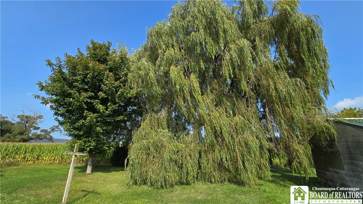 1184 Cassadaga Road Villenova, NY 14138 - Photo 29 of 31