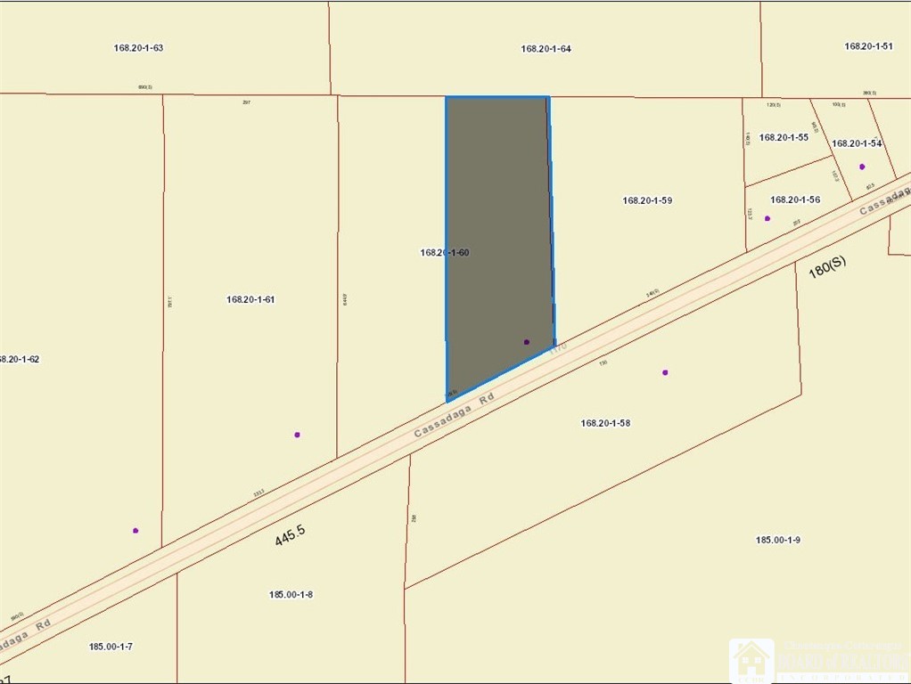 1184 Cassadaga Road Villenova, NY 14138 - Photo 30 of 31