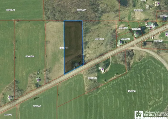 $75,000 | 1184 Cassadaga Road, Villenova, NY 14138