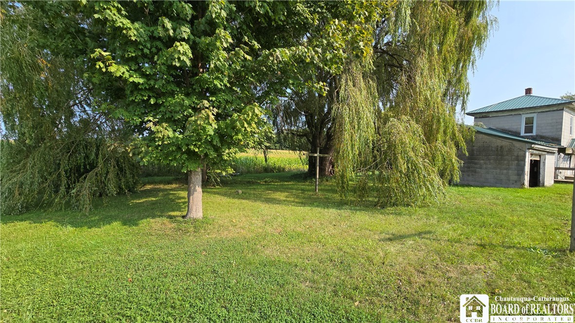 1184 Cassadaga Road Villenova, NY 14138 - Photo 4 of 31