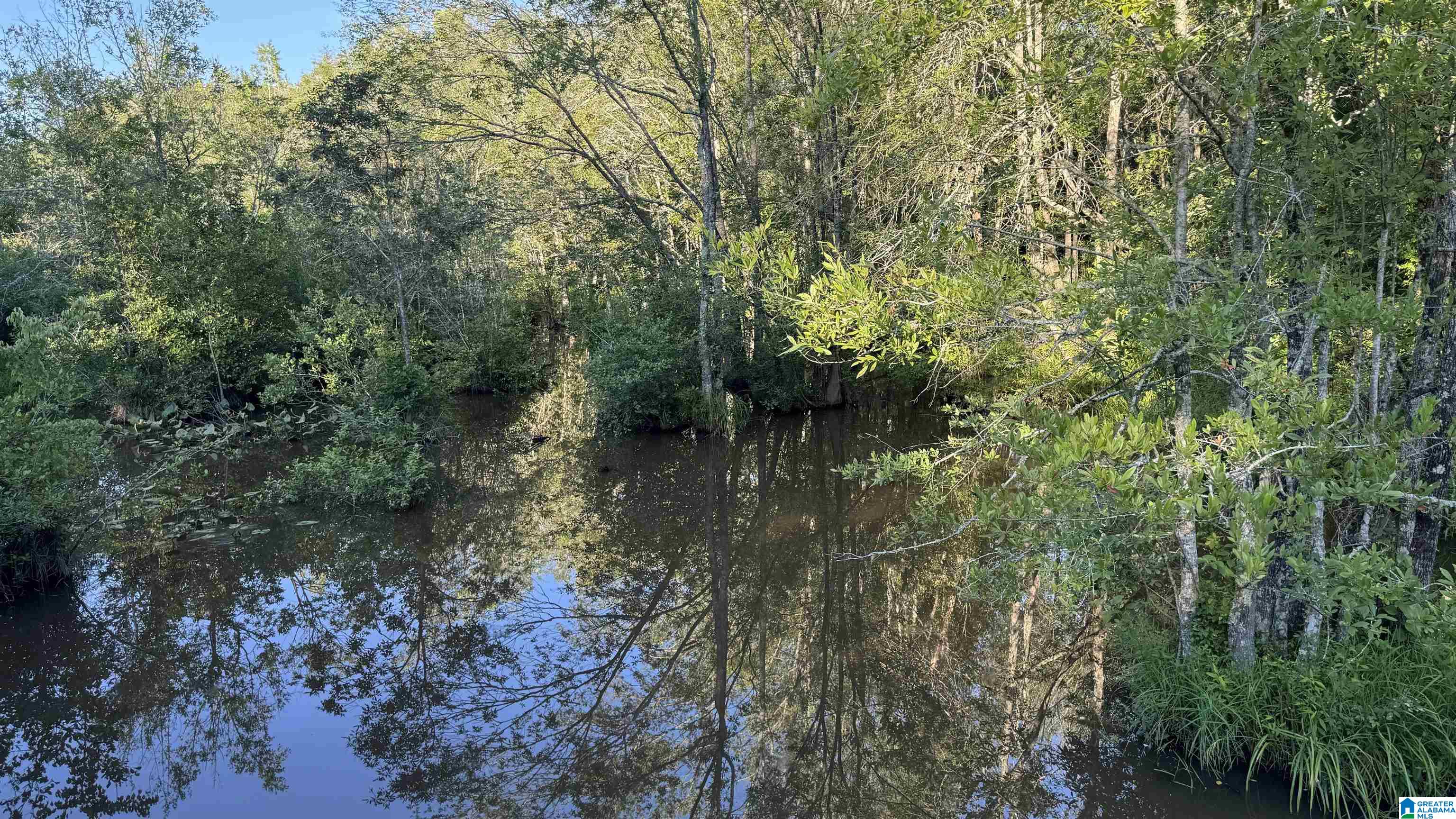 0 County Road 81, Unit 1 Tuskegee, AL 36083 - Photo 5 of 13