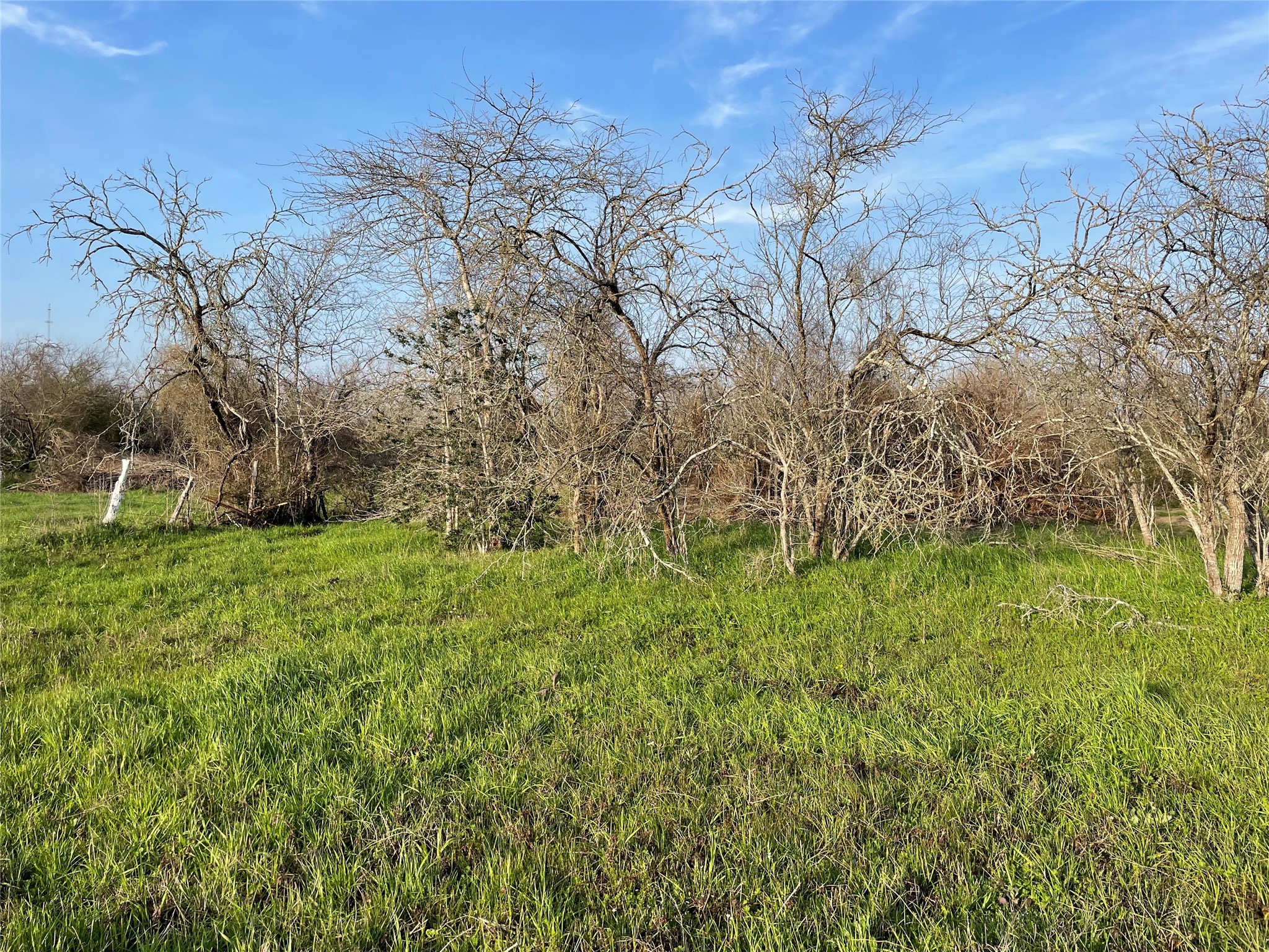 4196 Peters San Felipe Road Sealy, TX 77474 - Photo 10 of 11