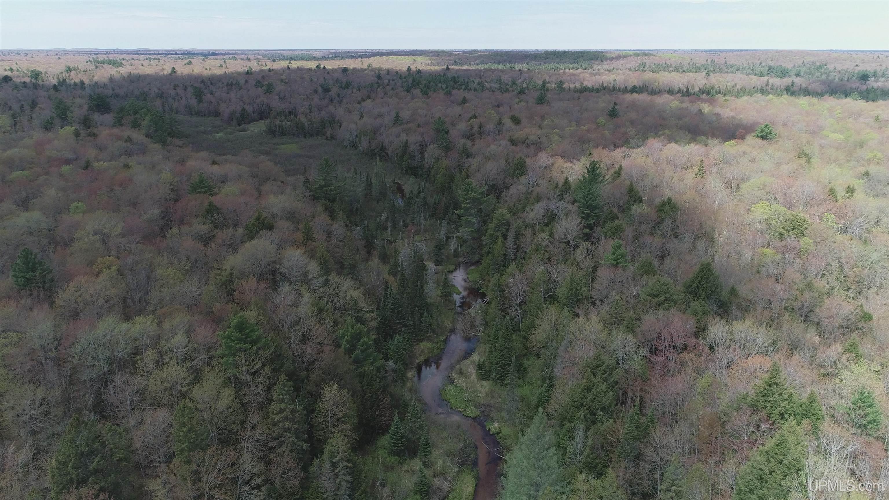 450 Rd Seney Mi 49883 Road Seney, MI 49883 - Photo 27 of 33