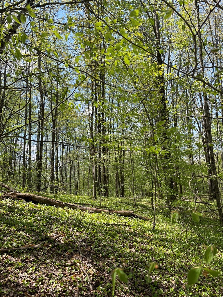 1-20 Sternberg Road Jefferson, NY 12093 - Photo 8 of 12