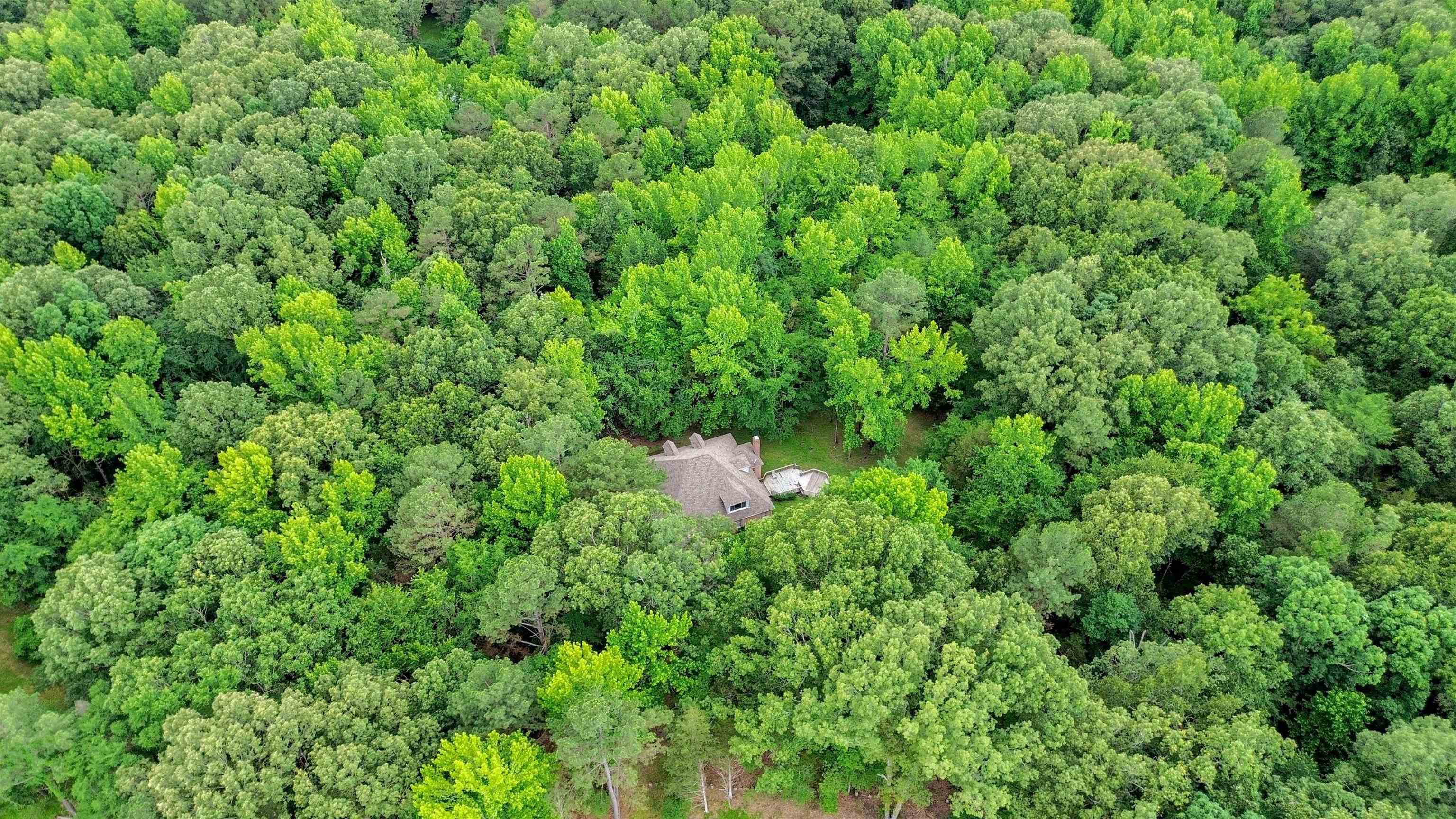 976 Dent Road Eads, TN 38028 - Photo 40 of 40 Gallery Image 40