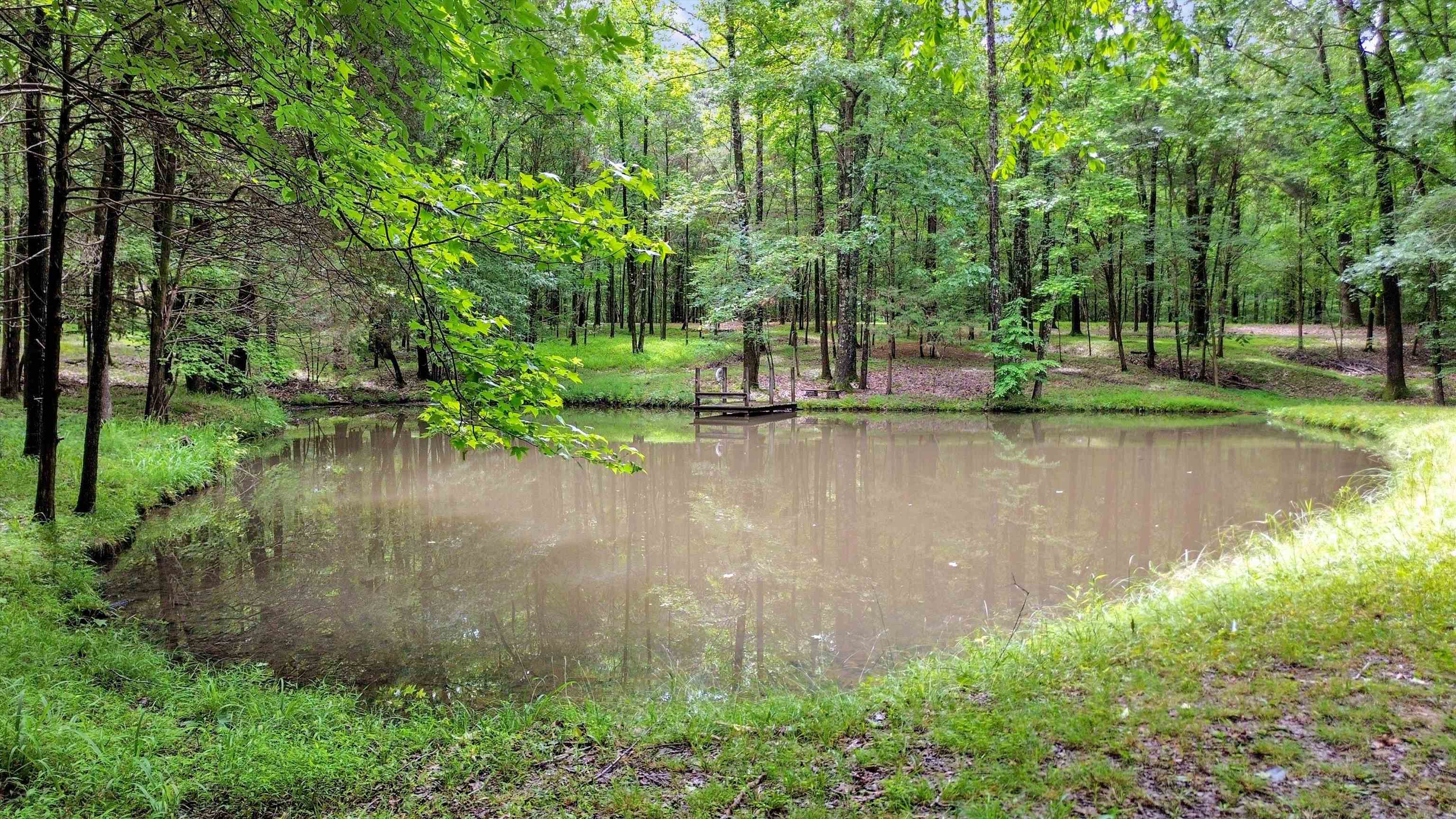 976 Dent Road Eads, TN 38028 - Photo 8 of 40 Gallery Image 8