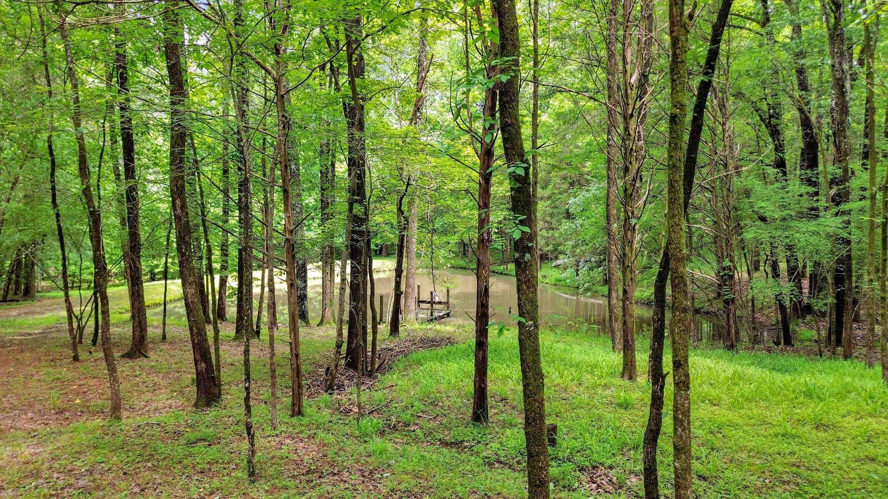 976 Dent Road Eads, TN 38028 - Photo 10 of 40 Gallery Image 10
