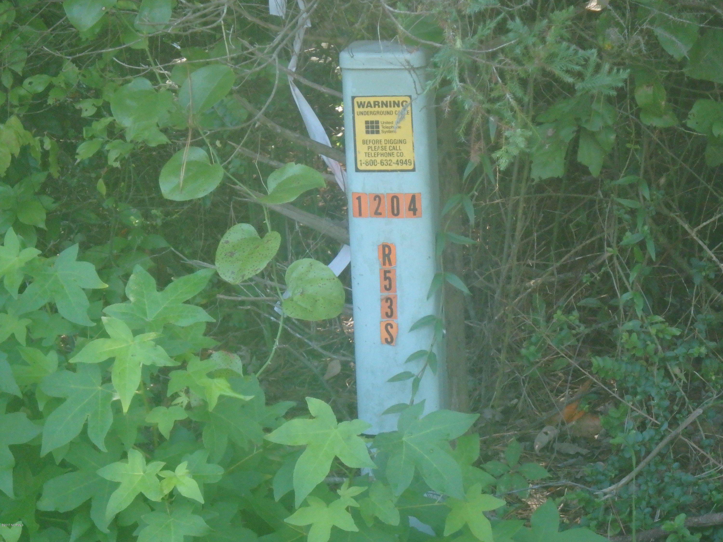Tbd Davis Road Richlands, NC 28574 - Photo 2 of 8 P7200415