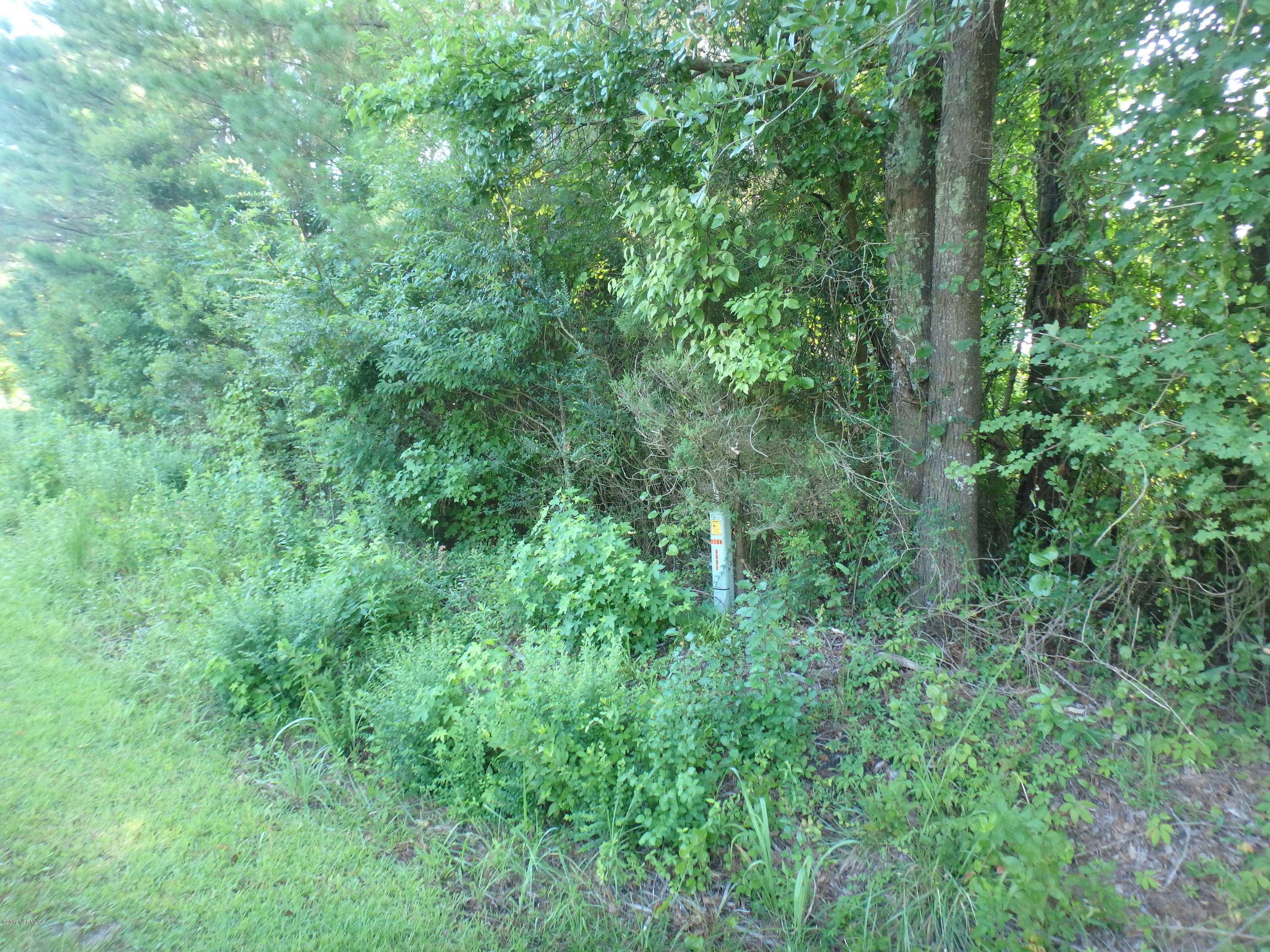 Tbd Davis Road Richlands, NC 28574 - Photo 3 of 8 P7200416