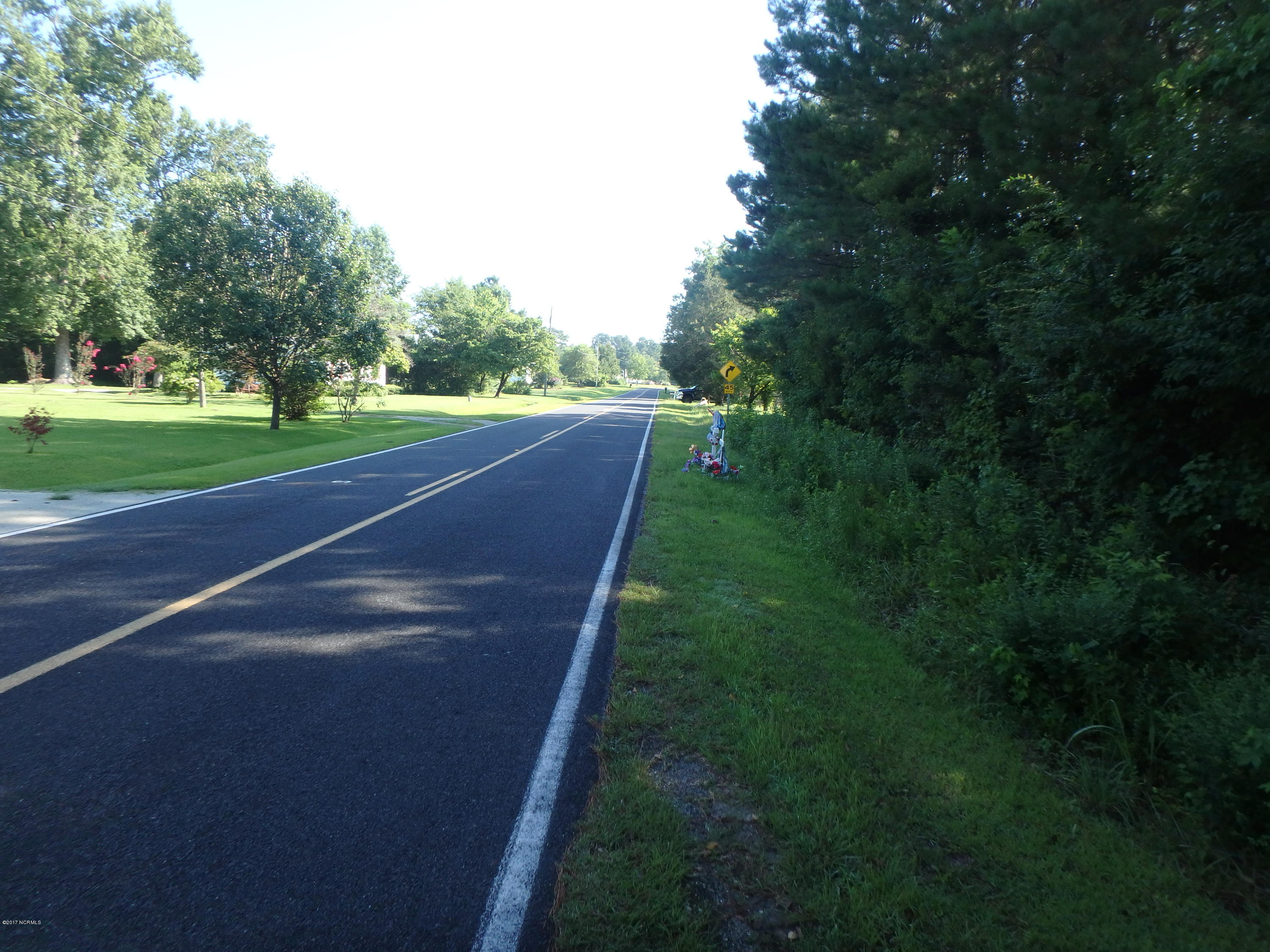 Tbd Davis Road Richlands, NC 28574 - Photo 4 of 8 P7200417