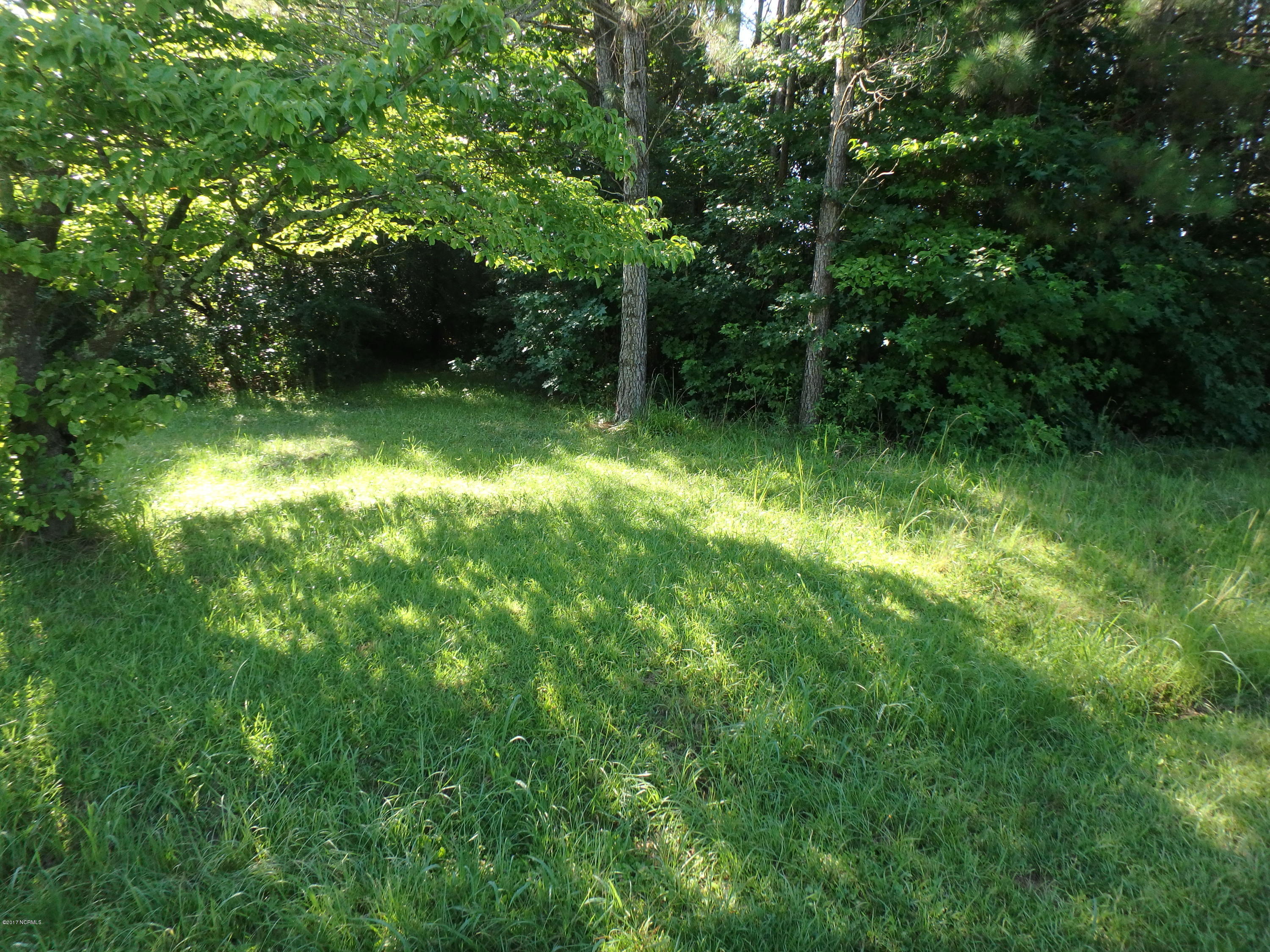 Tbd Davis Road Richlands, NC 28574 - Photo 7 of 8 P7200421