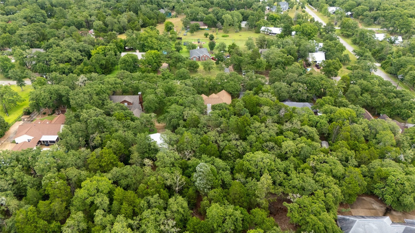 230 Cedar Hills Drive Elgin, TX 78621 - Photo 32 of 40 a view of a house with a lush green forest