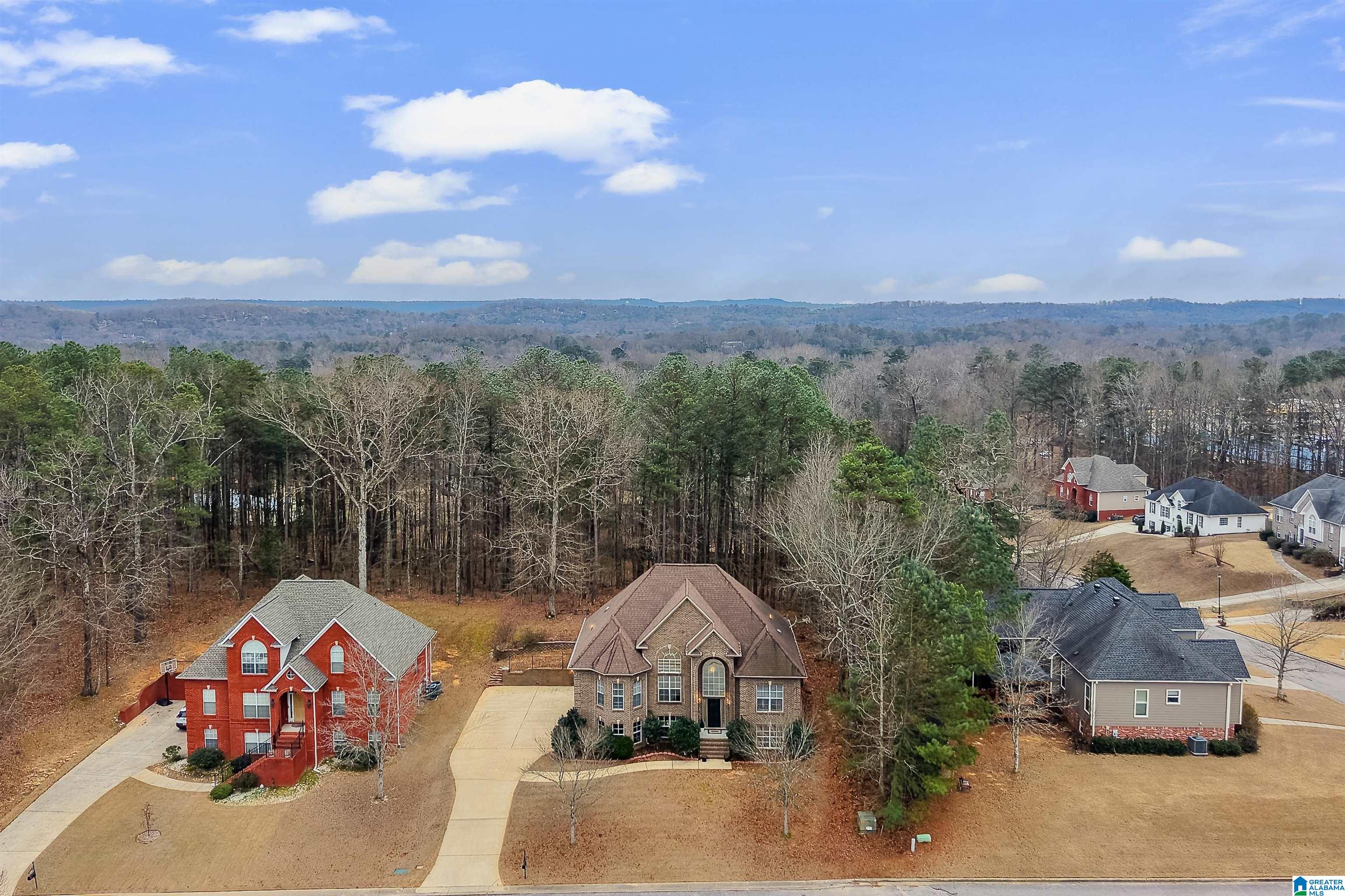 4088 Falliston Drive Helena, AL 35080 - Photo 6 of 57