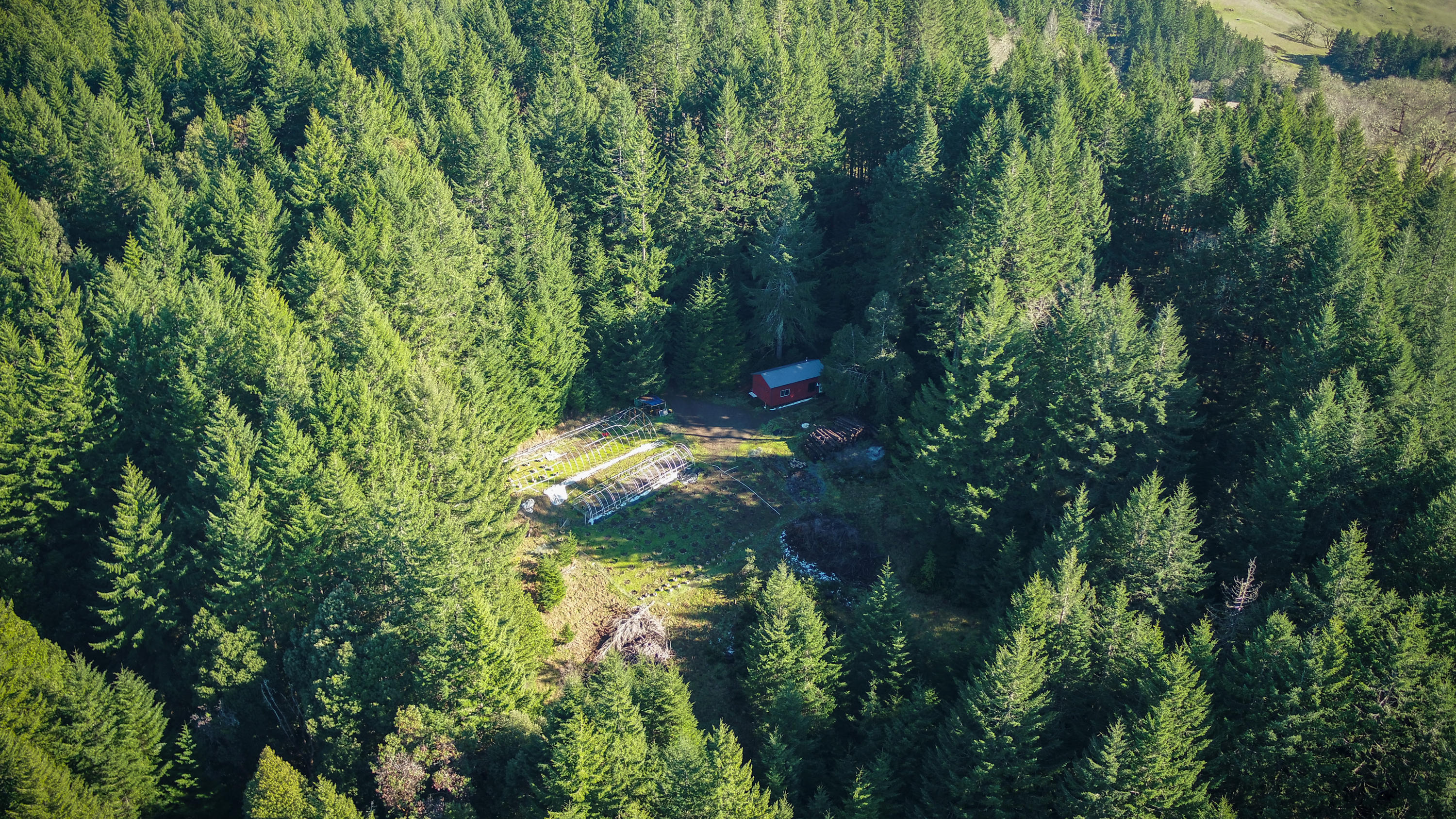 160-acres Butte Creek Road Kneeland, CA 95549 - Photo 38 of 56