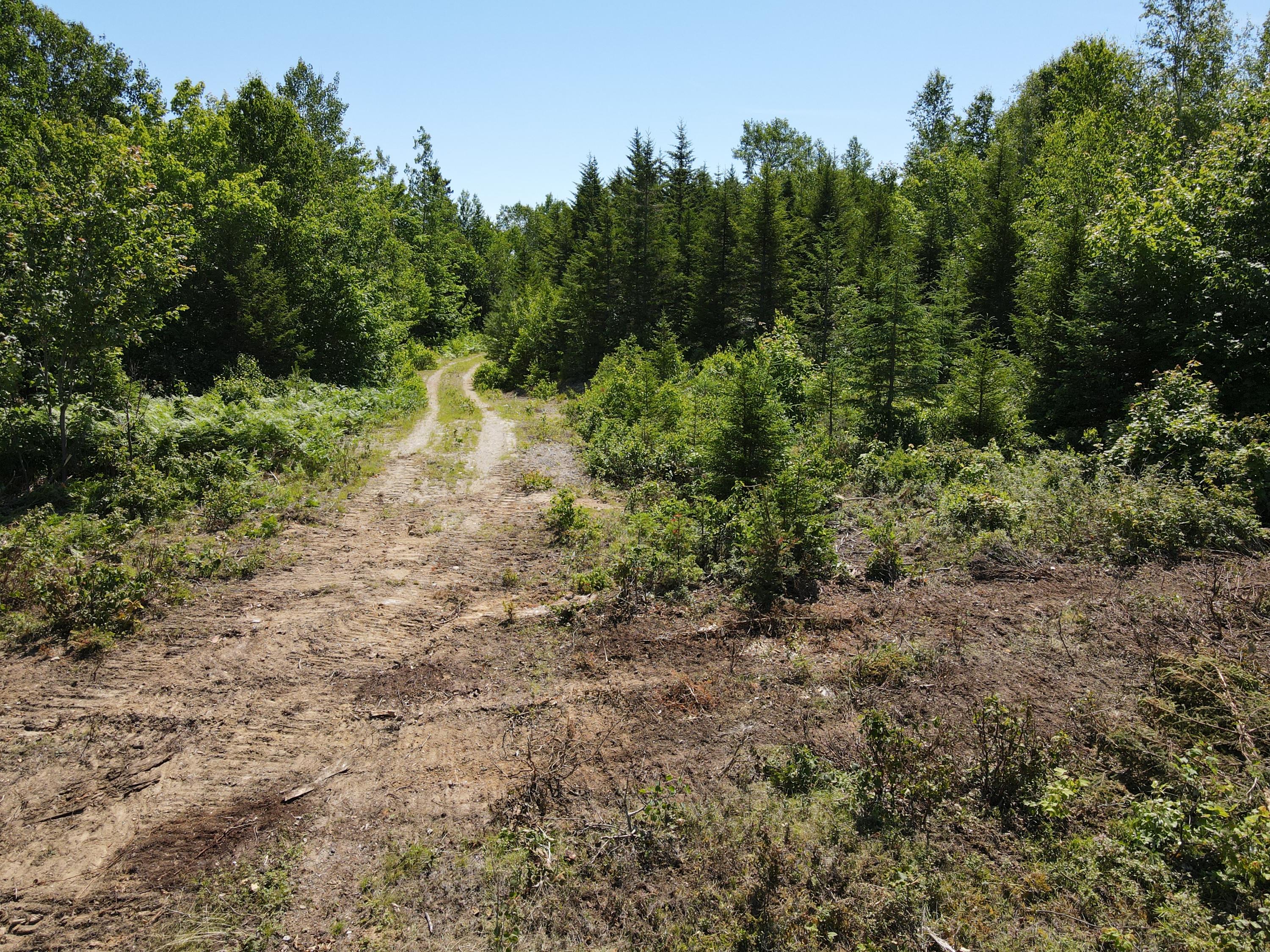 Lot 6 Dirigo Road Jackman, ME 04945 - Photo 4 of 13 13A8C4F0-EE09-4DAE-AFAA-B30D32981C98