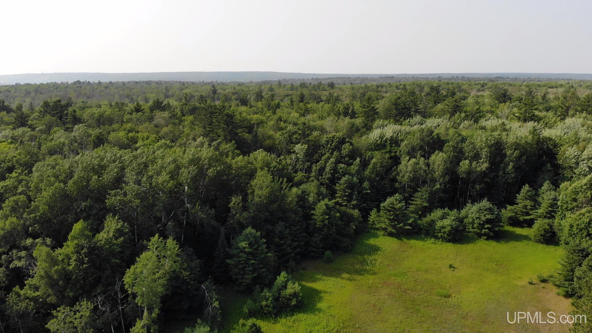 Tbd1 Lower Point Mills Road Dollar Bay, MI 49922 - Photo 16 of 19 Gallery Image 16