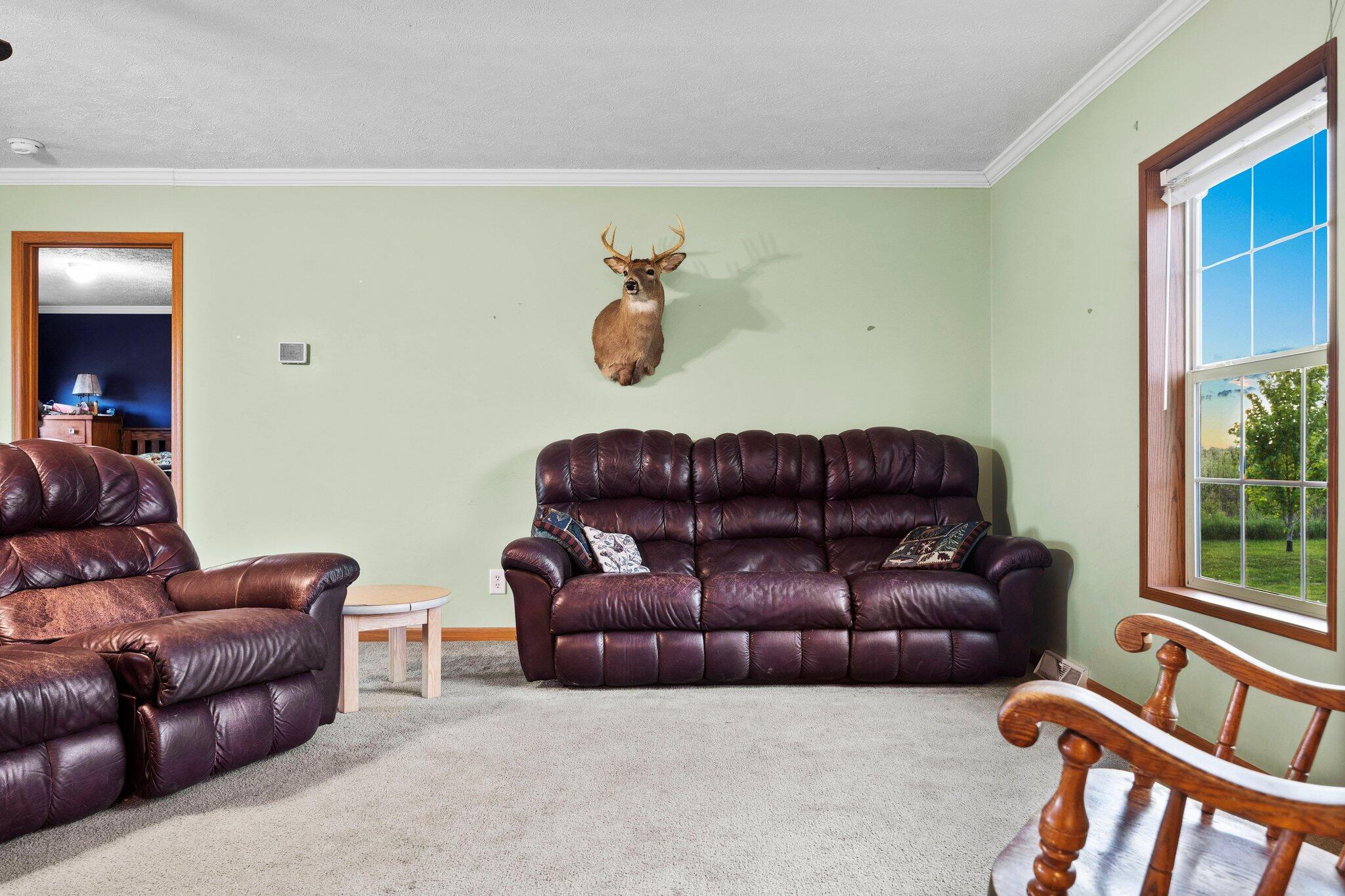 97 East Blanchard Road Shepherd, MI 48883 - Photo 7 of 23 14-web-or-mls-917A2698