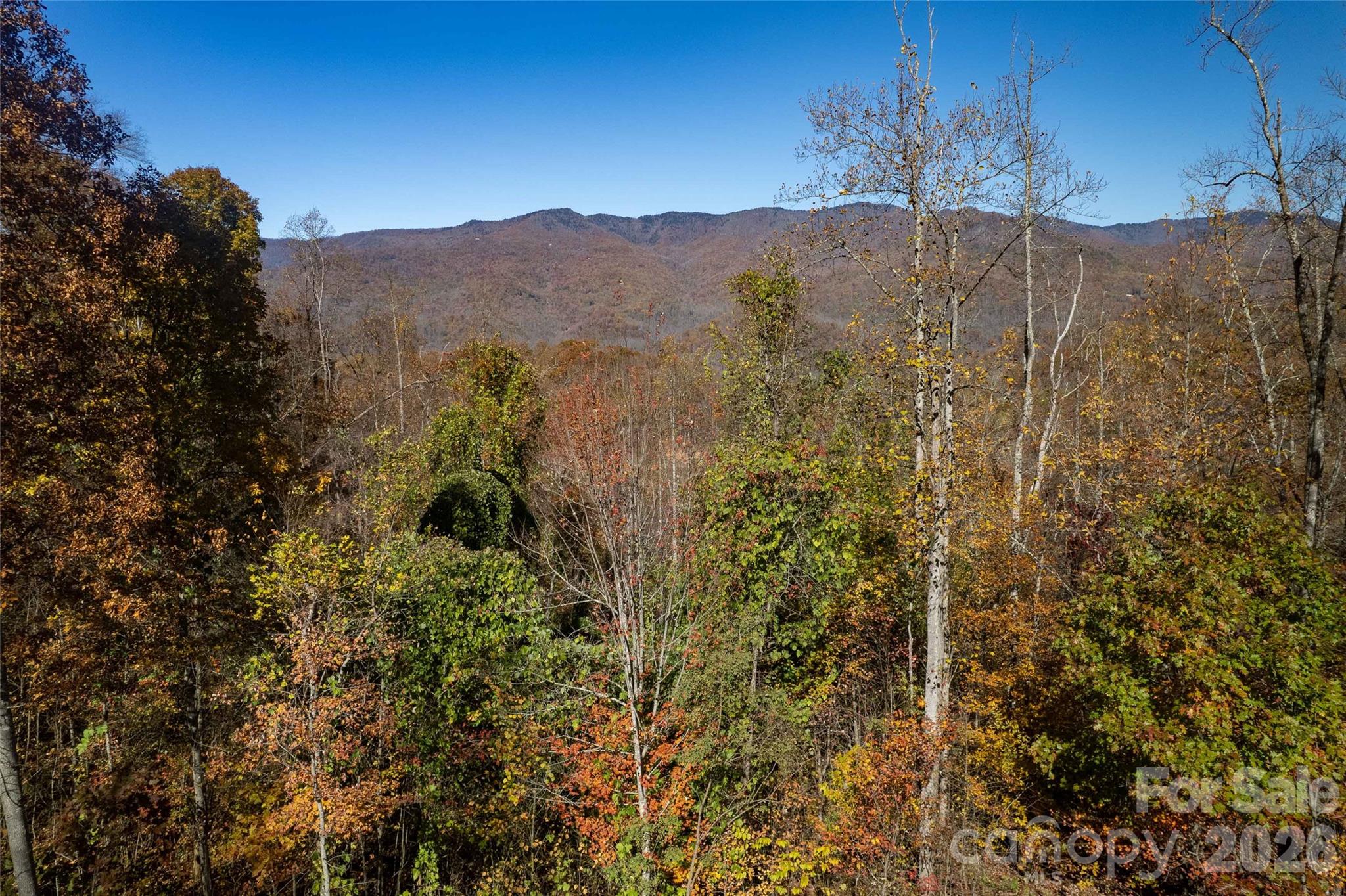 5 Copperhead Cove Road Sylva, NC 28779 - Photo 5 of 27