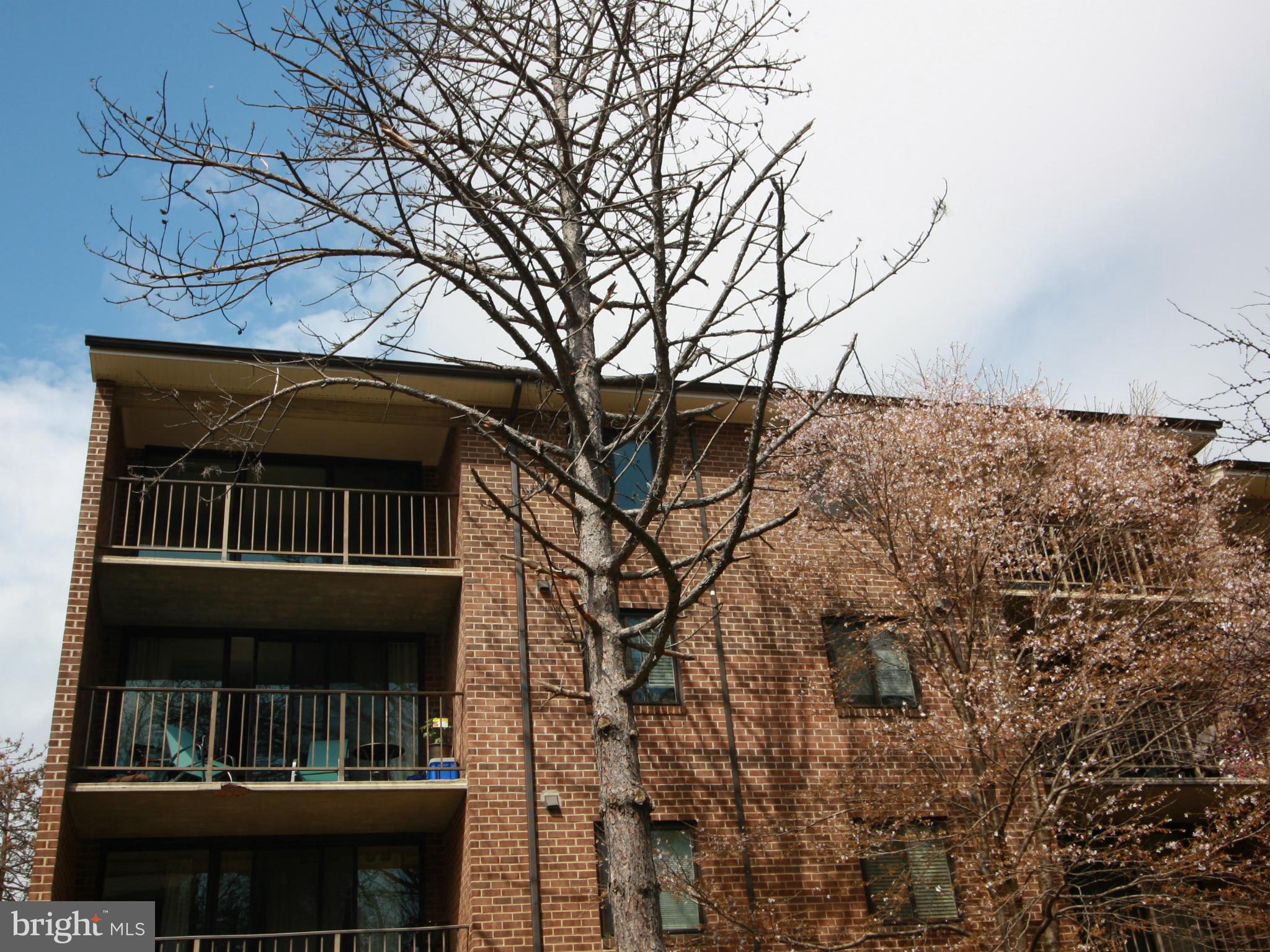 1425 Northgate Square, Unit 32B Reston, VA 20190 - Photo 24 of 28 Top Deck