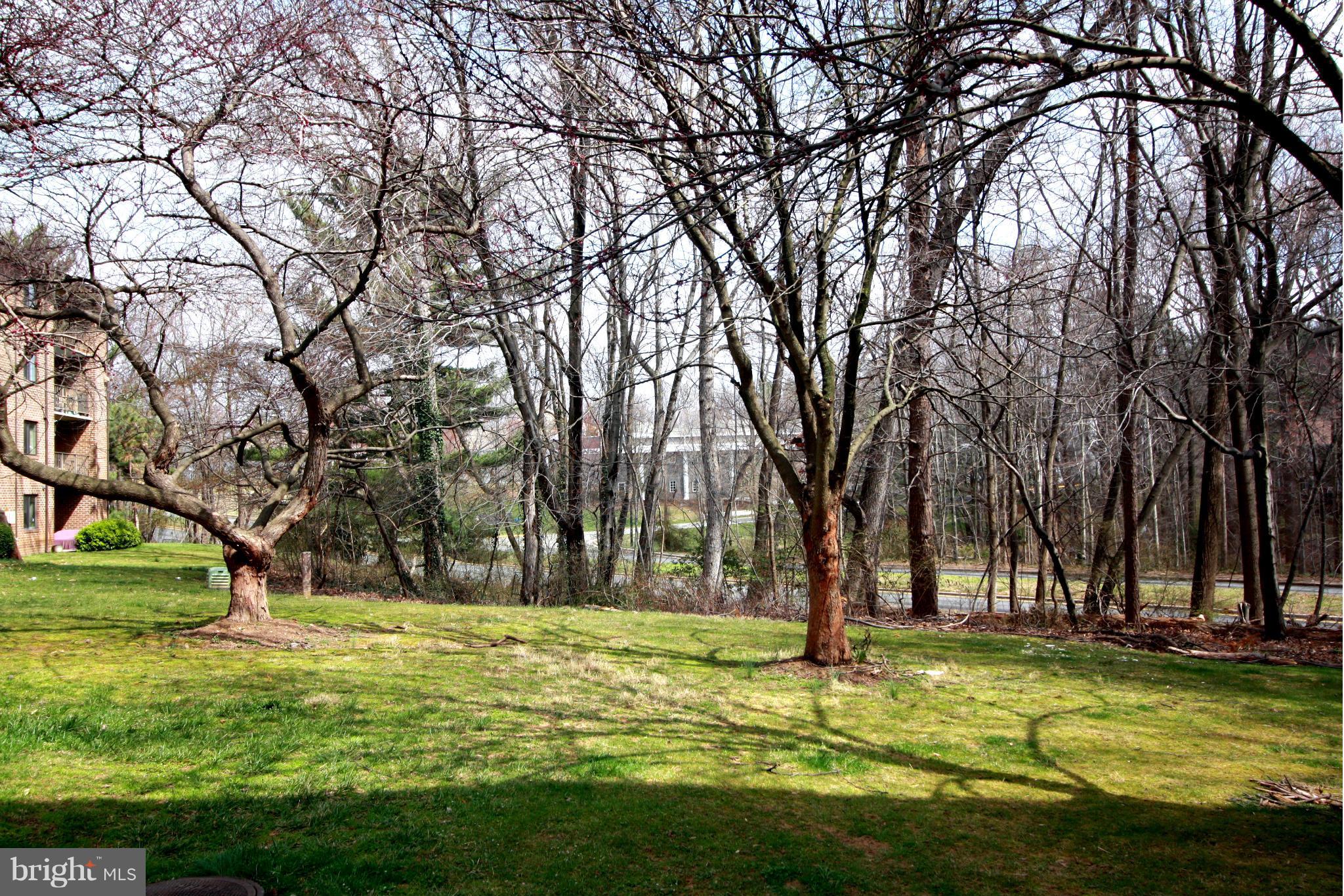 1425 Northgate Square, Unit 32B Reston, VA 20190 - Photo 25 of 28 Rear View
