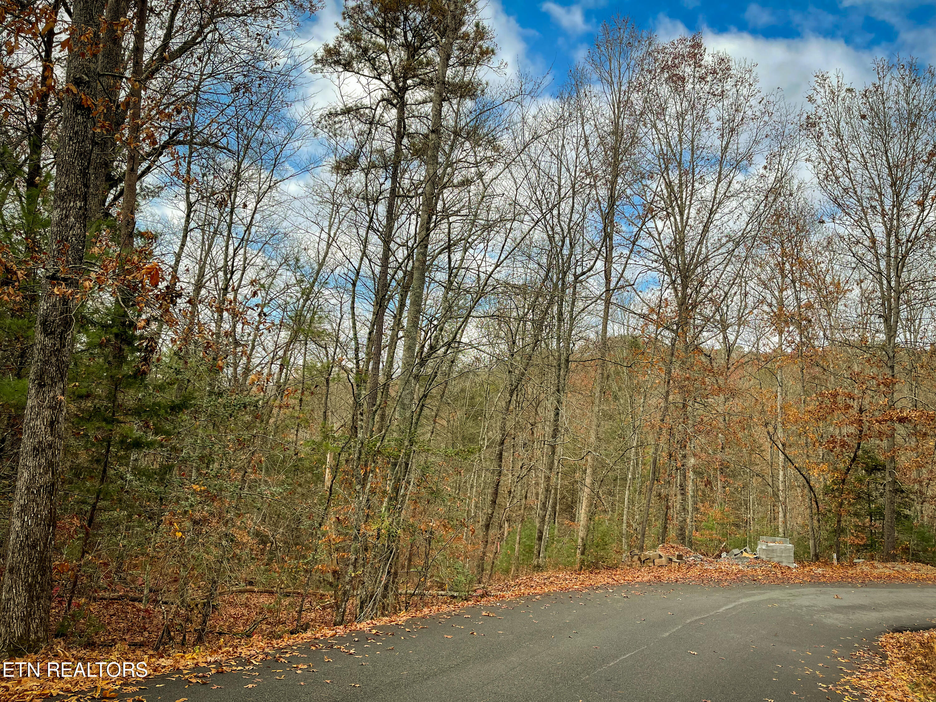 1079 Shell Mountain Road Sevierville, TN 37876 - Photo 20 of 30 IMG_5467