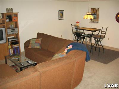 284 Ridgeview Drive Alburtis, PA 18011 - Photo 7 of 19 Gallery Image 7