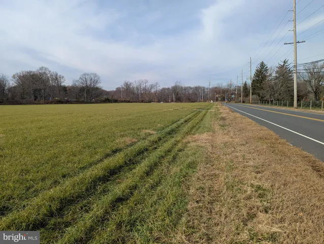 a view of a field with an ocean