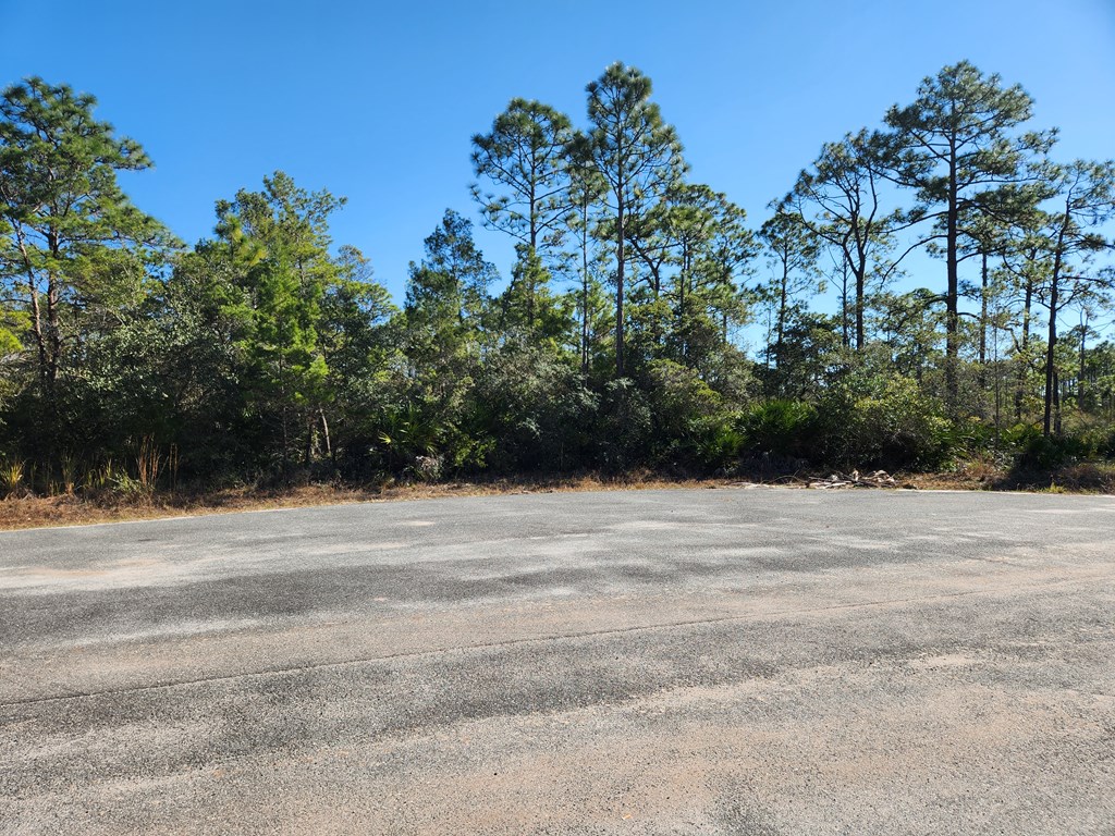 170 Ridgecrest Parkway Eastpoint, FL 32328 - Photo 6 of 9 Gallery Image 6