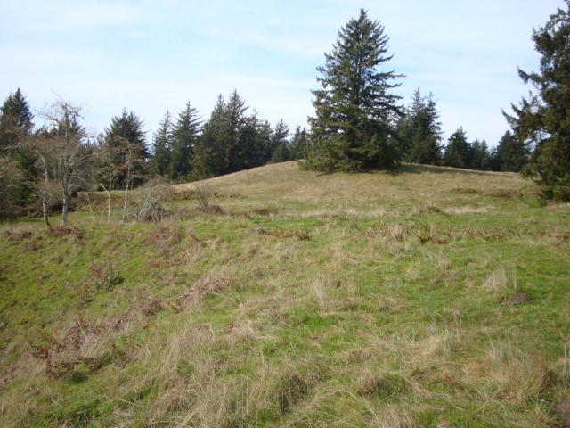 0 Berta Road Eureka, CA 95503 - Photo 8 of 20