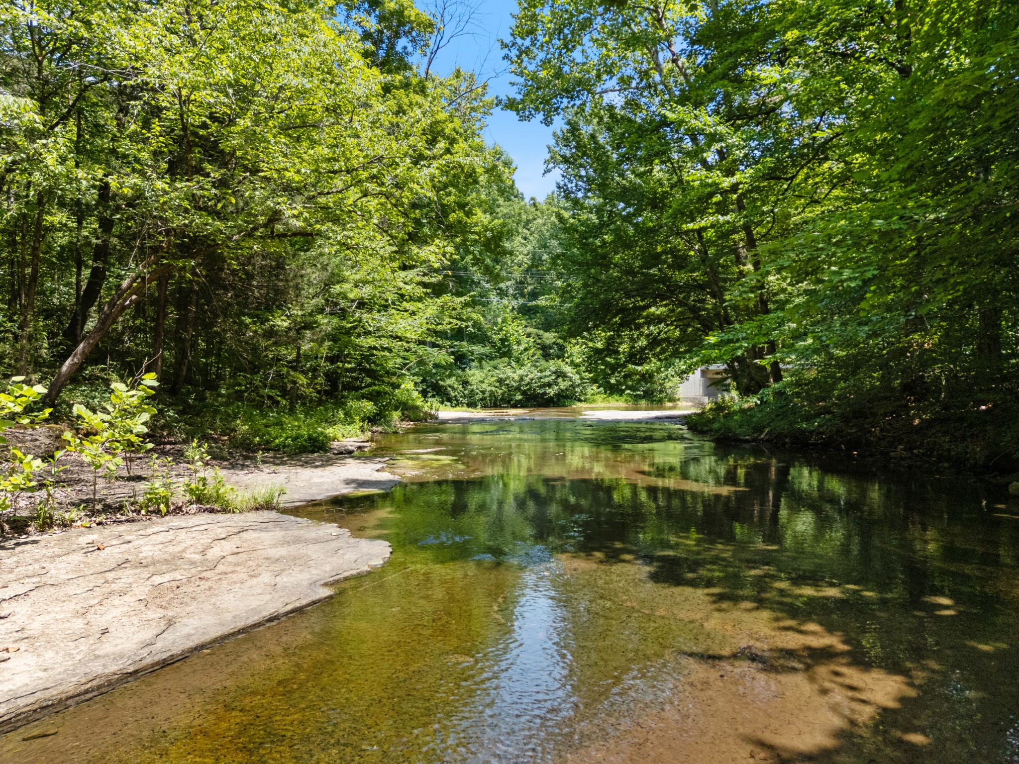 1370 Leatherwood Road White Bluff, TN 37187 - Photo 92 of 93