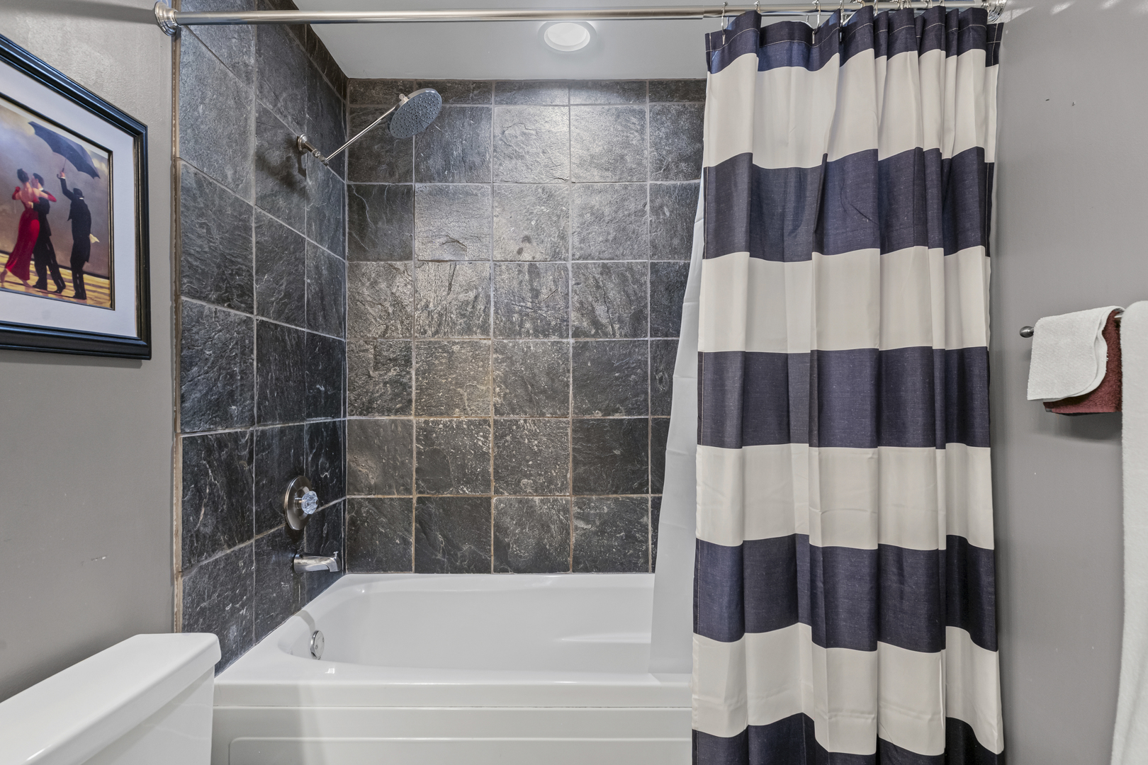 331 South Ridgeland Avenue, Unit B Oak Park, IL 60302 - Photo 15 of 20 a bathroom with a bathtub and shower