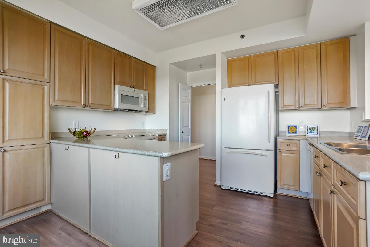 3100 North Leisure World Boulevard, Unit 1007 Silver Spring, MD 20906 - Photo 21 of 55 Corian countertops