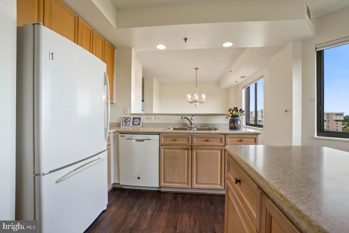 3100 North Leisure World Boulevard, Unit 1007 Silver Spring, MD 20906 - Photo 22 of 55 largest kitchen in Leisure World