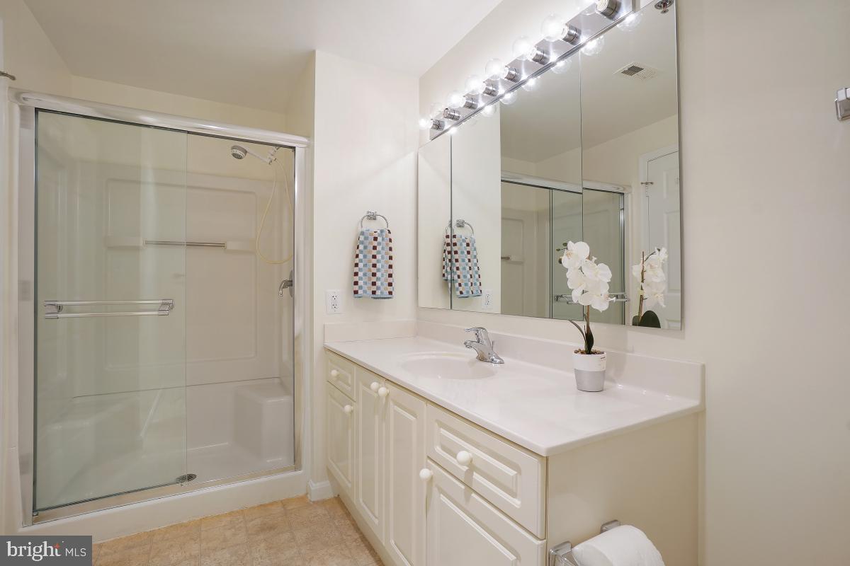 3100 North Leisure World Boulevard, Unit 1007 Silver Spring, MD 20906 - Photo 34 of 55 Primary suite with full bath