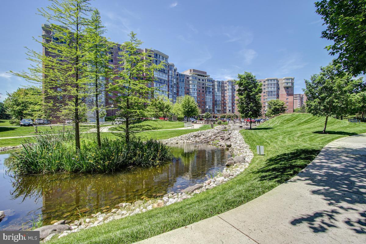 3100 North Leisure World Boulevard, Unit 1007 Silver Spring, MD 20906 - Photo 37 of 55 Peaceful setting