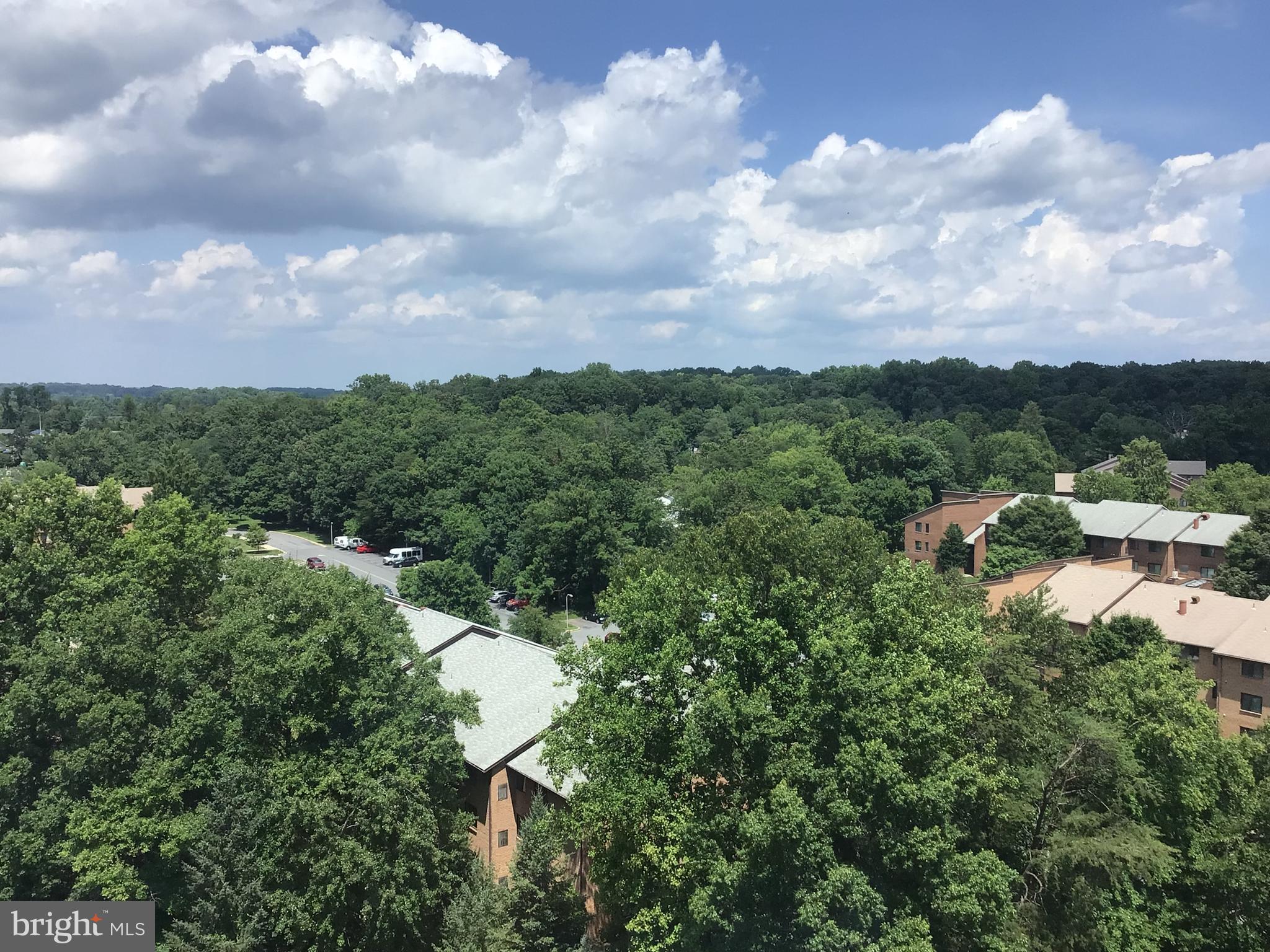 3100 North Leisure World Boulevard, Unit 1007 Silver Spring, MD 20906 - Photo 43 of 55 Peaceful setting