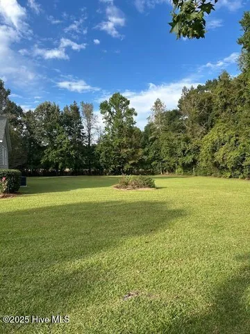 $250,000 | 2093 Burney Ford Road, Clarkton, NC 28433