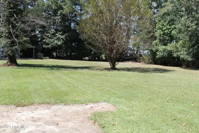 $250,000 | 2093 Burney Ford Road, Clarkton, NC 28433