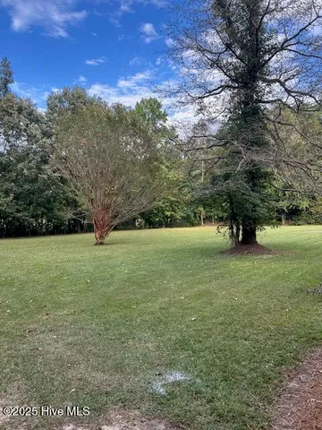 $250,000 | 2093 Burney Ford Road, Clarkton, NC 28433