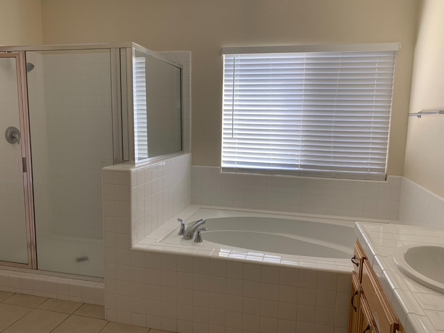 3532 Lauding Way Modesto, CA 95355 - Photo 12 of 21 a bathroom with a sink and a bathtub