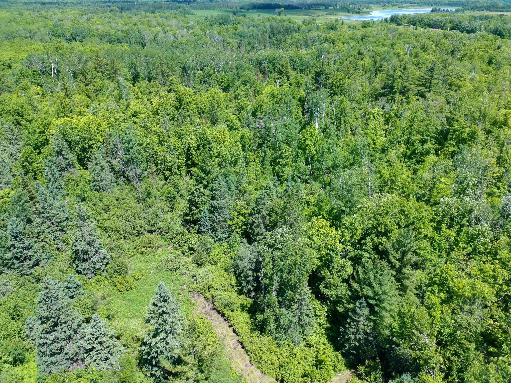 Tbd Oak Leaf Road Kerrick, MN 55756 - Photo 14 of 19