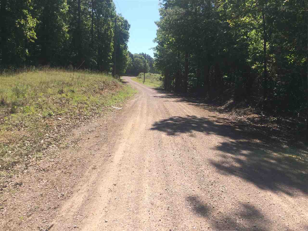 0 Ferguson Store Road Selmer, TN 38375 - Photo 2 of 12 Gallery Image 2