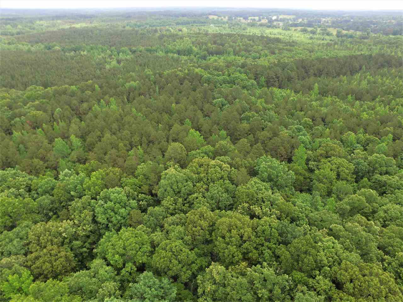 0 Ferguson Store Road Selmer, TN 38375 - Photo 11 of 12 Gallery Image 11