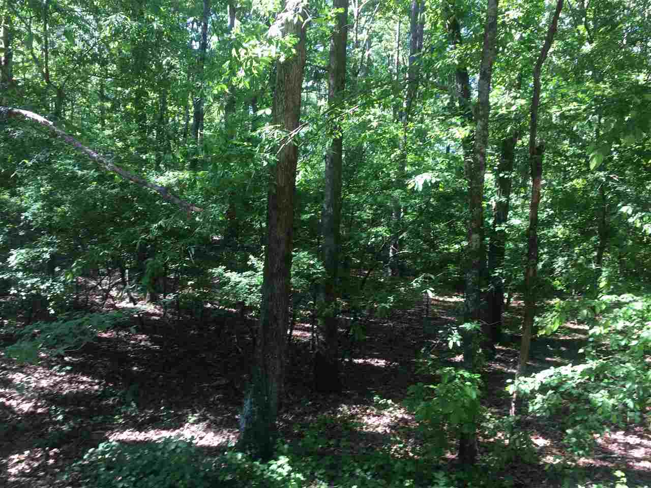 0 Ferguson Store Road Selmer, TN 38375 - Photo 3 of 12 Gallery Image 3