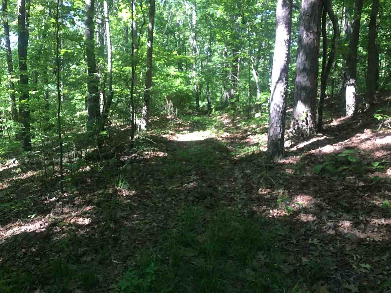 0 Ferguson Store Road Selmer, TN 38375 - Photo 4 of 12 Gallery Image 4